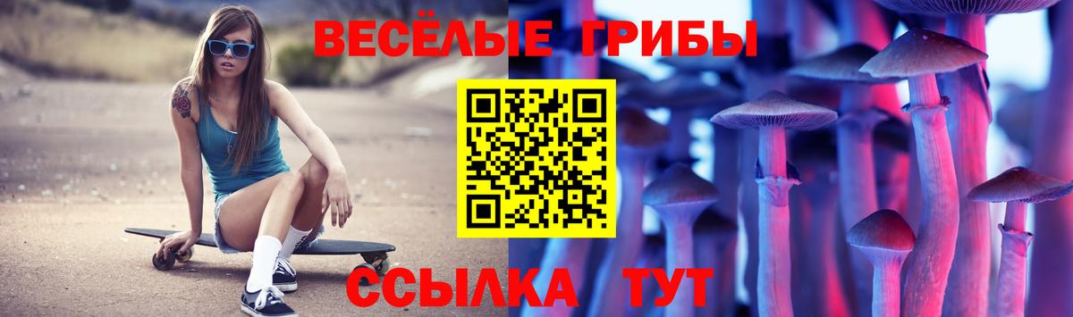 Галлюциногенные грибы мицелий  Вход с VPN  Котлас 